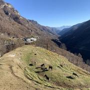 Comologno 04/03/2022