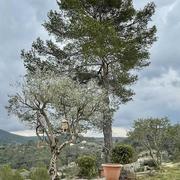 Belgentier 04/03/2022