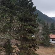 Saint-Martin-Vésubie 04/03/2022