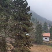 Saint-Martin-Vésubie 05/03/2022