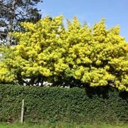 Saint-Vincent-sur-Jard 05/03/2022