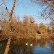 Weyersheim 06/03/2022