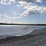 Pinarello 13/03/2022