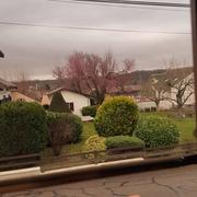 Chaudeney-sur-Moselle 15/03/2022