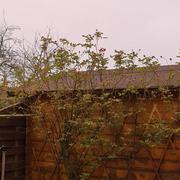 Ploërmel 16/03/2022