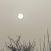 Sermaises 16/03/2022