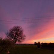 Saint-Georges-sur-Loire 17/03/2022