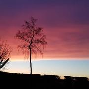 Grandvilliers 17/03/2022