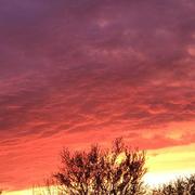 Crazannes 18/03/2022