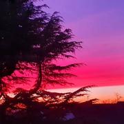 Mareil-sur-Mauldre 18/03/2022