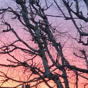 Rivières 18/03/2022