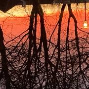 Montigny-le-Bretonneux 19/03/2022