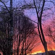 Montigny-le-Bretonneux 19/03/2022