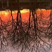 Montigny-le-Bretonneux 19/03/2022