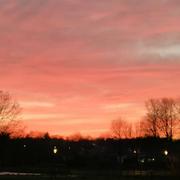 Carquefou 19/03/2022