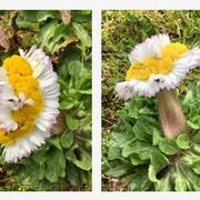 Cressanges 19/03/2022