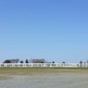 Swin club hippodrome 24/03/2022