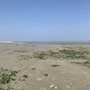 Plage du Hourdel 25/03/2022