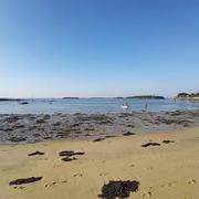 Port Navalo 25/03/2022