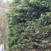 Le Coudray-sur-Thelle 31/03/2022