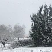 Beaucroissant 01/04/2022