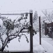 Fauquembergues 01/04/2022