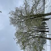 Saint-Paul 01/04/2022