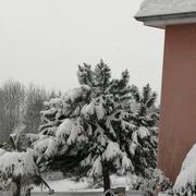 Celles-sur-Durolle 02/04/2022