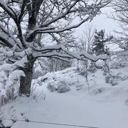 Saint-Agrève 02/04/2022