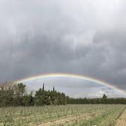 Rochefort-du-Gard 02/04/2022