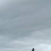 Mésanger 08/04/2022