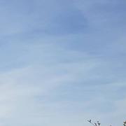 La Tour-du-Pin 10/04/2022