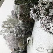 Ozoir-la-Ferrière 11/04/2022