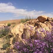 Ghardaïa 14/04/2022