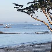 Plougasnou 15/04/2022