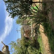 Le Thoronet 15/04/2022