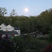 Montreuil-Bellay 16/04/2022