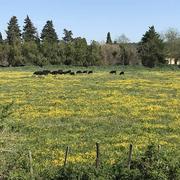 Bellegarde 17/04/2022