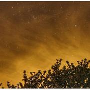 Beaurepaire 19/04/2022