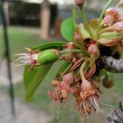 Rive-de-Gier 20/04/2022