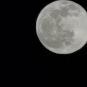 Saint-Jean-de-Védas 21/04/2022