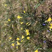 St-Cergue La Dôle 21/04/2022