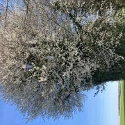 Bazancourt 25/04/2022