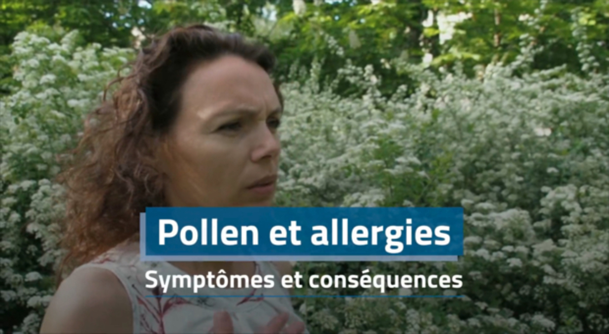 Pollen et allergies les symptômes et les conséquences de l