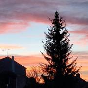 Ville-en-Tardenois 30/04/2022