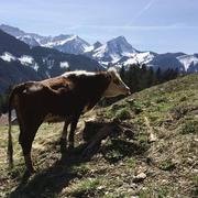 Le Sauvage 01/05/2022