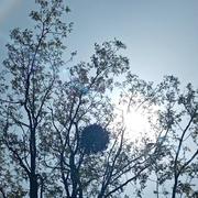 Mortagne-au-Perche 02/05/2022