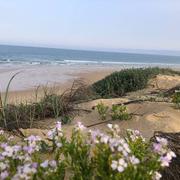 Le Cap-Ferret 03/05/2022