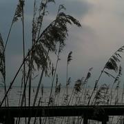 Parentis-en-Born 04/05/2022