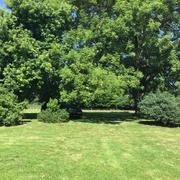 Saillenard 05/05/2022